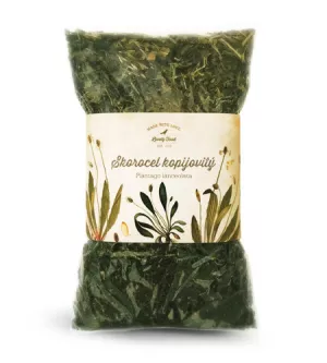 Skorocel kopijovitý 100g